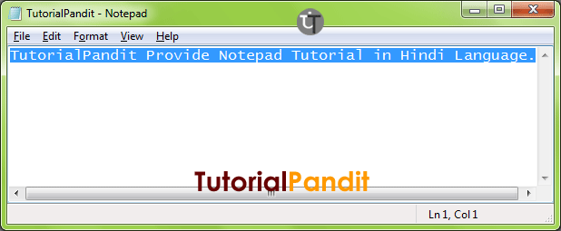 Notepad-Window-Showing-Selected-Words