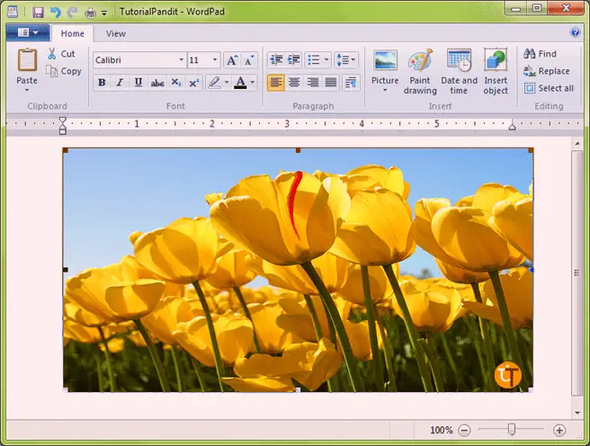 wordpad-showing-insert-picture