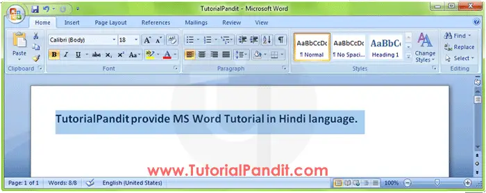 MS Word Showing Selected Words