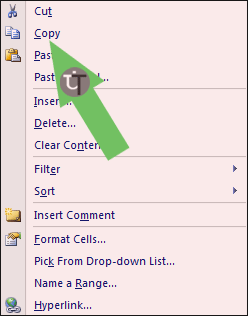 Picture Showing Copy in MS Excel