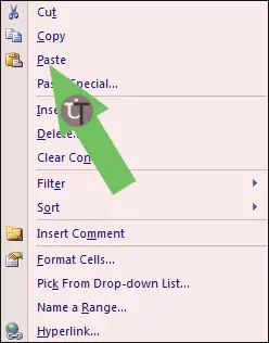 Picture Showing paste Command in Excel 