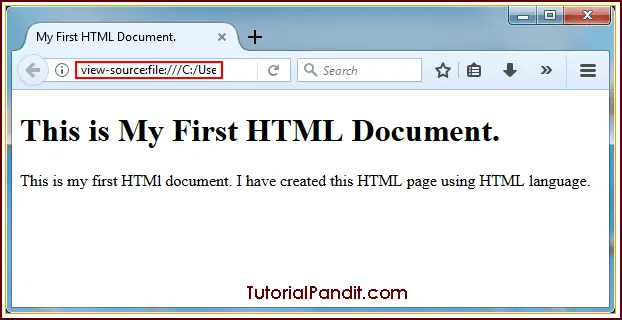 HTML Document in Browser