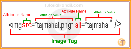 HTML Attribute Syntax in Hindi
