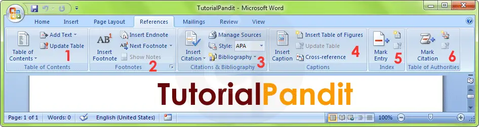 MS Word References Tab in Hindi