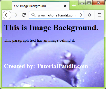 CSS Image Background