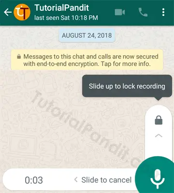 Record Audio Message on WhatsApp in Hindi