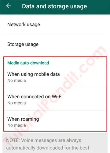WhatsApp Data and Storage Usage Option