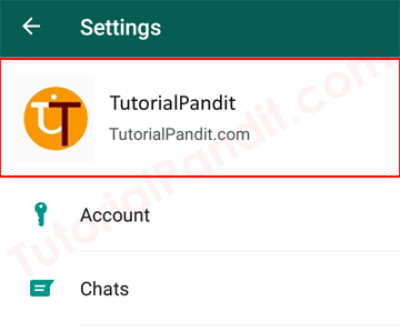 Picture Showing WhatsApp Profile 
