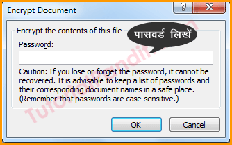 Enter Password to Protect Document