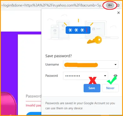 Chrome Browser Remember Password Screen
