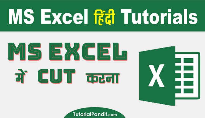 Using Cut in Excel in Hindi